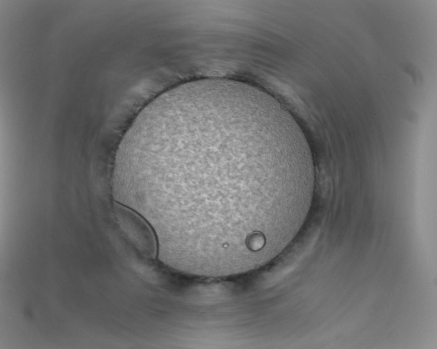 X0000115210307200911121910