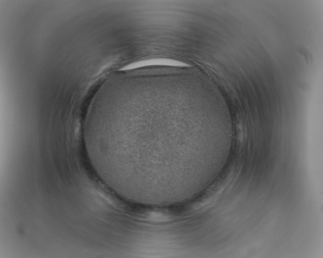 X0000115210308200911121910