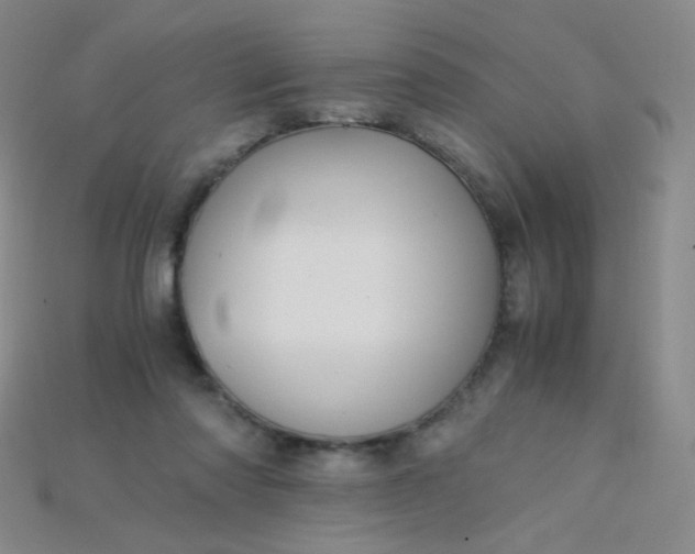X0000115210310200911121909
