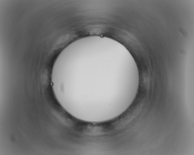 X0000115210311200911121909