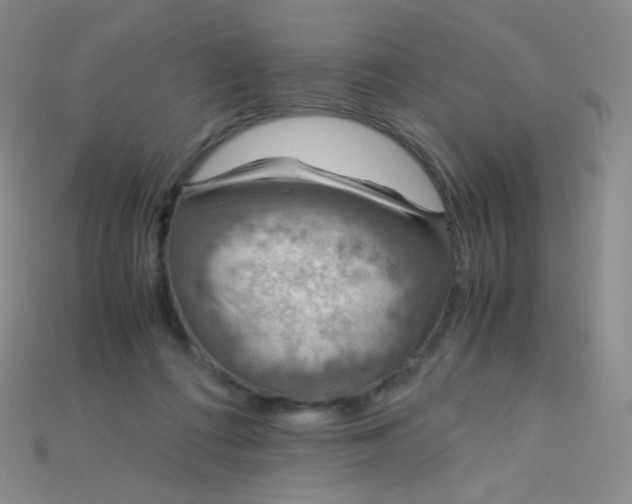 X0000115210312200911121909