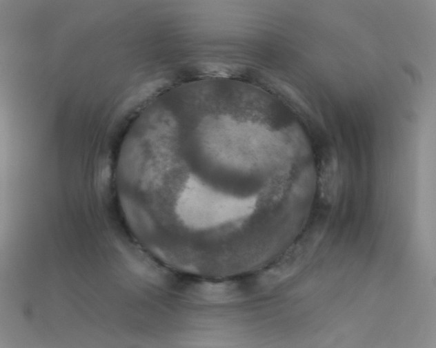 X0000115210314200911121909