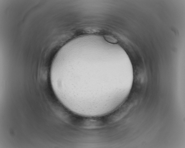 X0000115210315200911121909