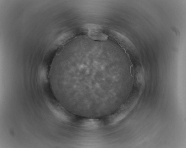 X0000115210316200911121909