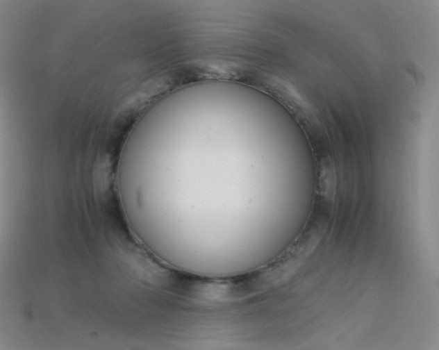X0000115210318200911121909