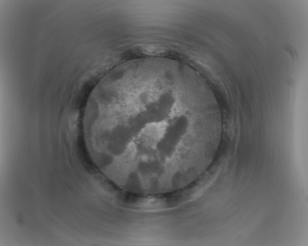 X0000115210319200911121909