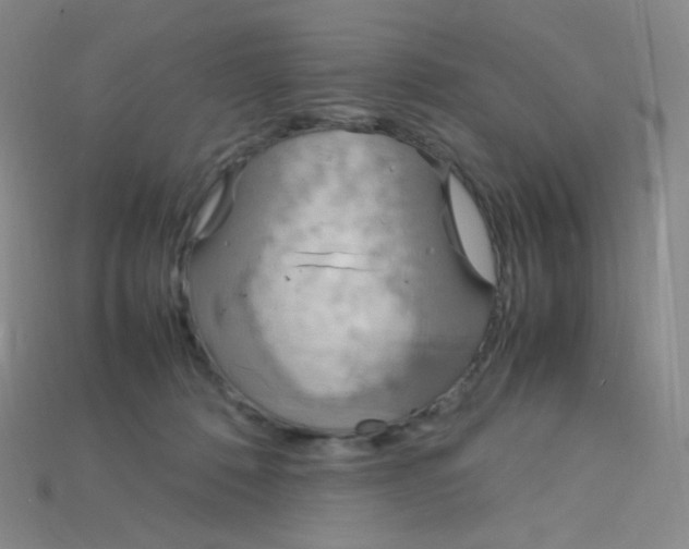 X0000115210320200911121909