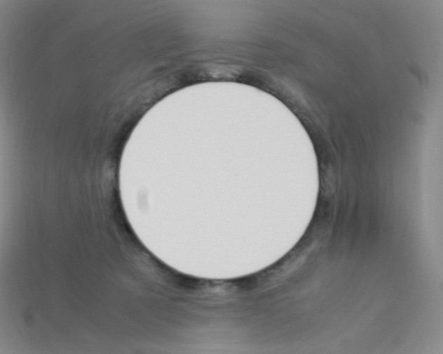 X0000115210321200911121909