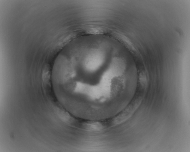 X0000115210322200911121909