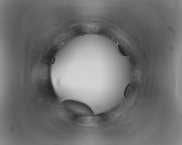X0000115210323200911121909