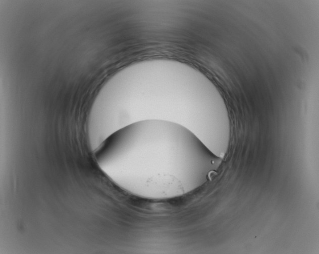 X0000115210324200911121909