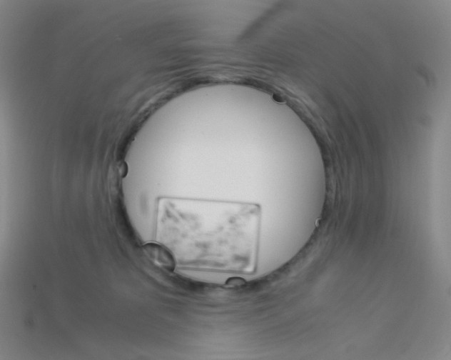 X0000115210325200911121909