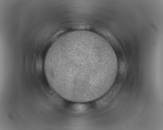 X0000115210326200911121909