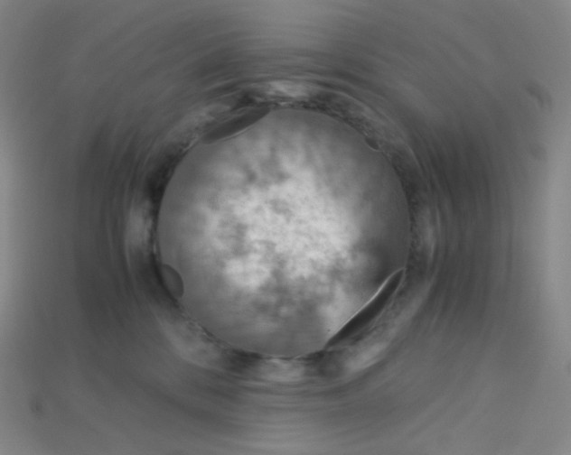 X0000115210328200911121909