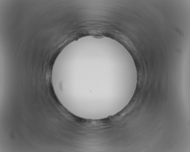 X0000115210329200911121909
