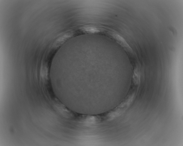 X0000115210330200911121909