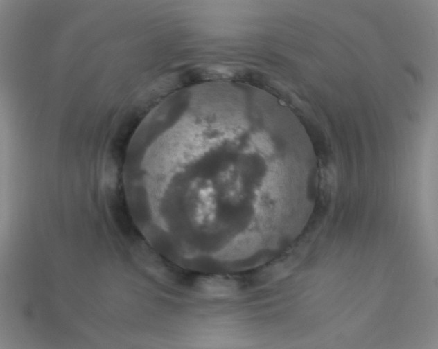 X0000115210331200911121909