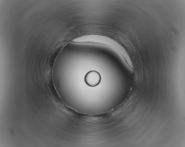 X0000115210332200911121909