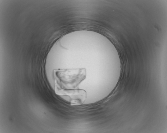 X0000115210333200911121909
