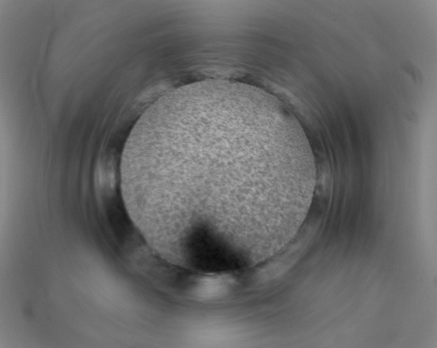 X0000115210334200911121909