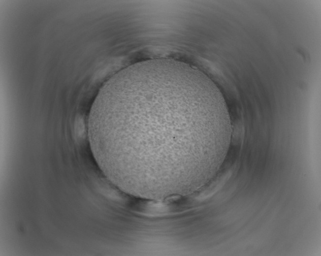 X0000115210335200911121909