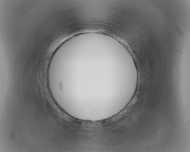 X0000115210337200911121909
