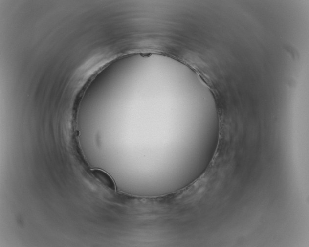 X0000115210338200911121909