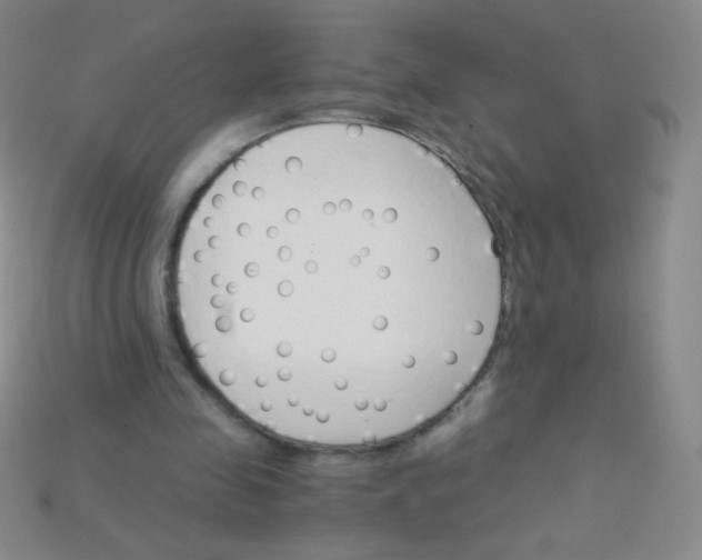 X0000115210341200911121909