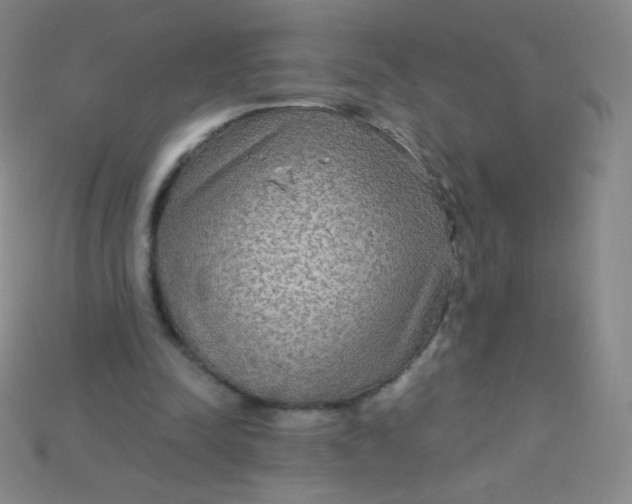 X0000115210342200911121909