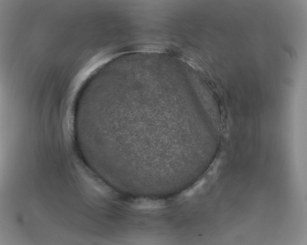 X0000115210343200911121909