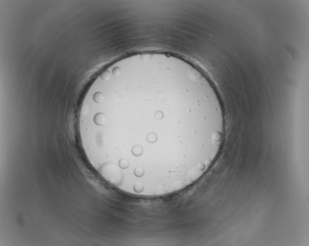 X0000115210345200911121909