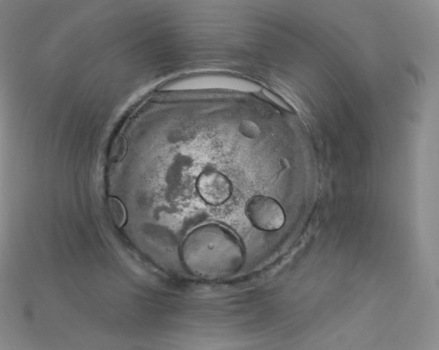 X0000115210346200911121909