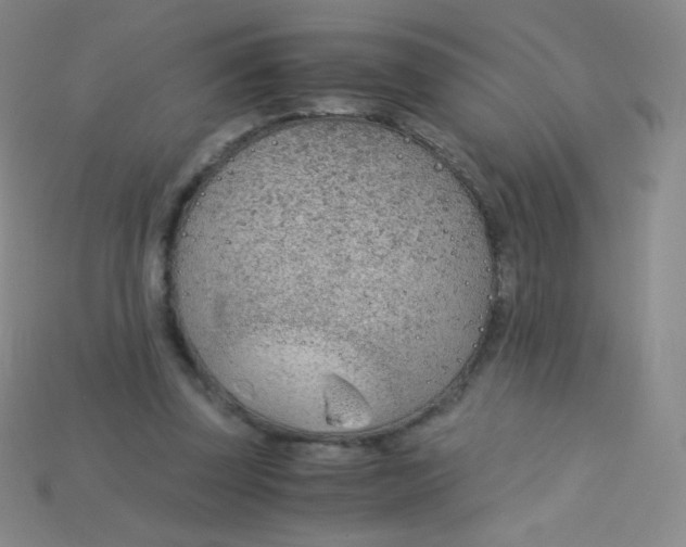 X0000115210347200911121909