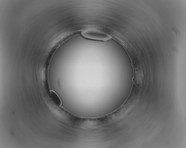 X0000115210350200911121909