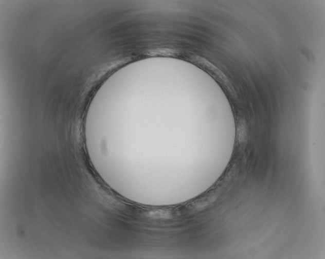 X0000115210353200911121909