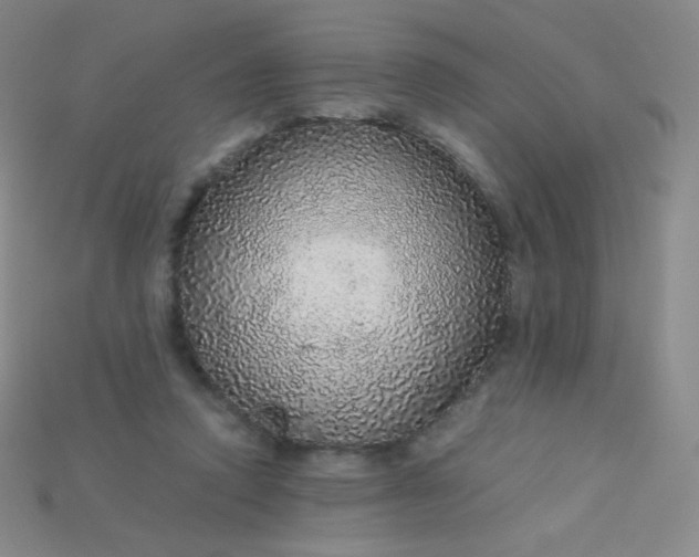 X0000115210354200911121909