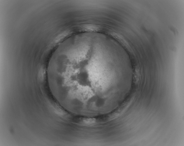 X0000115210355200911121909