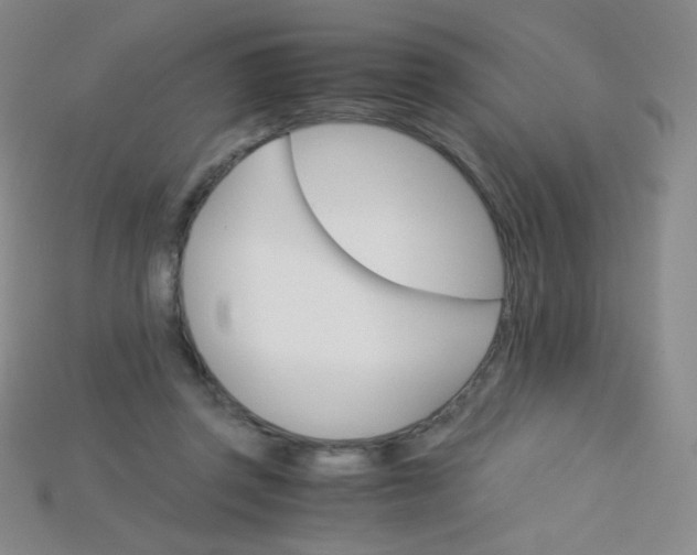 X0000115210357200911121909