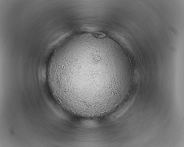 X0000115210358200911121909