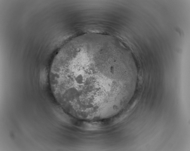 X0000115210359200911121909