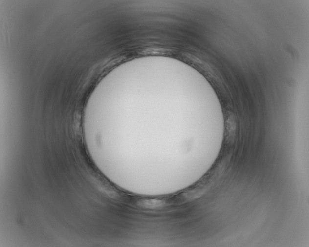 X0000115210361200911121909
