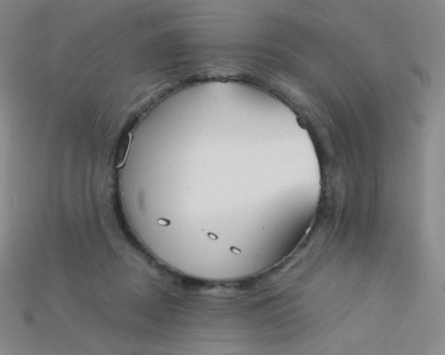 X0000115210362200911121909