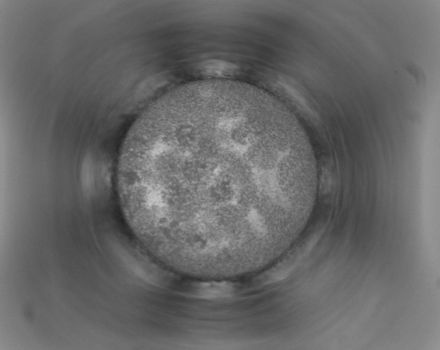 X0000115210363200911121909