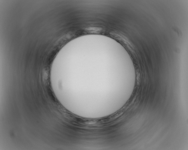 X0000115210365200911121909