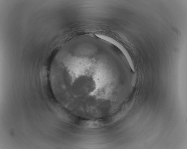 X0000115210366200911121909