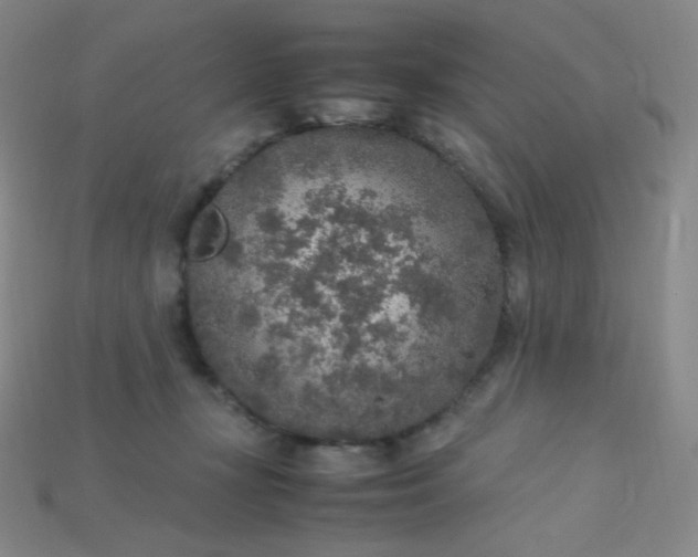 X0000115210367200911121909