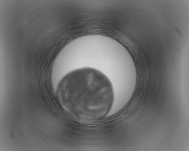 X0000115210373200911121909