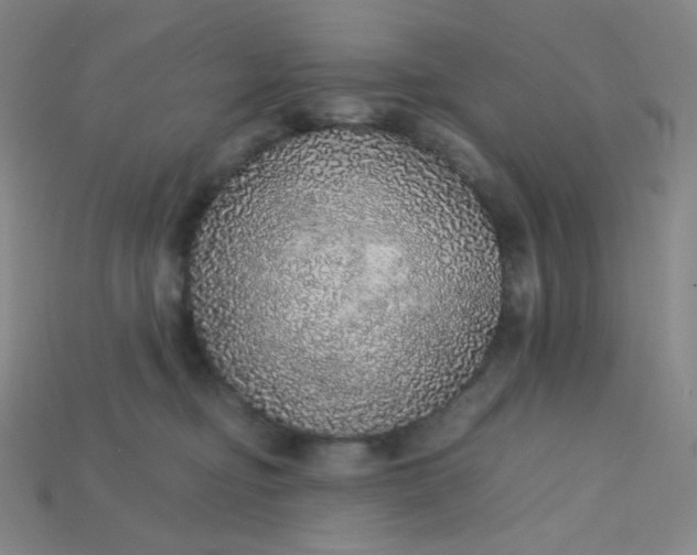 X0000115210374200911121909