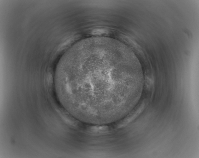 X0000115210375200911121909