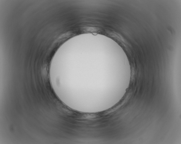 X0000115210377200911121909